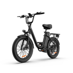 URLIFE E20 500W rasvarehvidega elektrijalgratas, 60 km pikk s&otilde;iduulatus, 20 x3.0 rehvid, esivedrustus, LCD-ekraan, LED-tuled, tagumine pakiraam