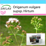 SAFLAX &ndash; kinkekomplekt &ndash; Kreeka pune &ndash; 600 seemet &ndash; Koos kinkekarbi, kaardi, etiketi ja potisubstraadiga &ndash; Origanum vulgare