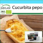 SAFLAX &ndash; kinkekomplekt &ndash; Orgaaniline &ndash; Suvik&otilde;rvits &ndash; Spagetid &ndash; 5 seemet &ndash; Koos kinkekarbi, kaardi, etiketi ja potisubstraadiga &ndash; Cucurbita pepo