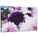 Feeby l&otilde;uenditr&uuml;kk, Daaliad 60x40 lilla