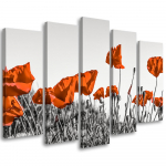 Viieosaline pildil&otilde;uenditr&uuml;kk Red corn poppy 100x70 punane
