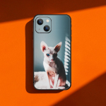 Sphyns Sphinx Fashion Cat telefoni&uuml;mbris iPhone'ile Samsung Galaxy Redmi Xiaomi Oppo OnePlus Note SA 7 8 9 10 11 12 13 14 20 21 22 23 53 54 Pro Ultra iPhone 6 or 6S