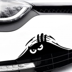 Autokleebis naljakas ja jahutav disain 22x11x1cm