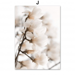 Maroko kaar puidust uksekoridor Magnoolia lill Sein Kunstitr&uuml;kised L&otilde;uendimaaling P&otilde;hjamaade plakatikaunistused Elutoa pildid A4 21X30cm No Framed