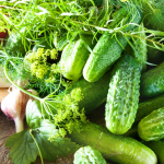 P&otilde;ldkurgi Valerie F1 seemned 6-meetrisel lindil k&ouml;&ouml;giviljaseemned - WegAna