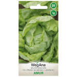 Amuuri v&otilde;isalati seemned 1g salatiseemned - WegAna