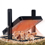 Kana-soojendi, reguleeritava temperatuuri, k&otilde;rguse ja nurgaga tibu soojendaja, Brooder-soojendi plaat