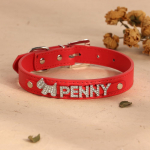 Isikup&auml;rastatud koeranimeline kaelarihm Bling Rhinestone kutsika kassi kaelarihma ja jalutusrihma komplekt kohandatud kaelakee v&auml;ikesele keskmisele lemmiklooma mopsile chihuahua XS 20-26cm