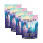 (4 tk)1-5x Yerba Mate Kiirtee pulber, Virsiku-Mango maitsed, Looduslik Tee Mate prebiootikumidega, Kiirtee meestele ja naistele