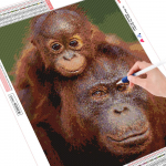 T&auml;isruudukujulised teemanttikandid loomade orangutangid maalid 5D Teemantmaalid ahv 20*30 cm