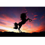 Teemantmaaling t&auml;is &uuml;mmargune &uuml;kssarvik hobune teemanttikandid kividega kodukaunistusega seinakleebis 20X30CM