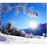 5D Teemantmaali Ristpistekomplektid Teemanttikandid Talvine lumepuu maastik 20X30CM