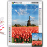 5D DIY Teemantmaaling Lilled Tulbid Ristpistes Teemant Kunst Tikand Mosaiik Home Deco Full Round 20X30CM