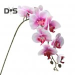 Erksad v&auml;rvid V&otilde;ltsliblikorhidee Kastmisvaba ilus k&auml;sit&ouml;&ouml; kunstlik liblikorhidee