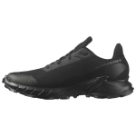 Salomon Alphacross 5 GORE-TEX Must Eebenipuu Meeste Tennised L47307500 black