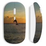 Dolphin Oceani juhtmeta hiir