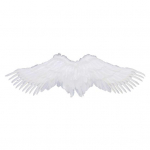 Inglitiib meestele, naistele, k&auml;sitsi valmistatud sulgedest tiivad, cosplay-kost&uuml;&uuml;mide rekvisiidid Halloweeni peo lavaesitluse aksessuaarid S valge