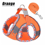 Lemmikloomade rakmed v&auml;ikestele koertele jalutusrihmade komplekt, pehme ja t&otilde;mbevaba reguleeritav hingav v&otilde;rgust rihm ja rakmete vestirihm kutsikatele, v&auml;ikestele, keskmistele koertele ja kassidele l