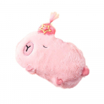 Suure mahutavusega pliiatsikott Capybara joonisfilmide kirjatarvete hoidikott Multifunktsionaalne pliiatsikott Loomingulised kirjatarvete &otilde;ppetarbed