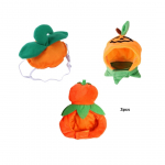 3 kassim&uuml;tsi, kassiriided, k&otilde;rvadega puuviljam&uuml;ts, kassidele ja v&auml;ikestele koertele sobiv l&otilde;bus kassim&uuml;ts, kassipojad, kutsikad, peokooslus kuld