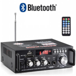 Bt298 Small Power Amplifier Card U Disk Radio DC 12v220v Bluetooth Small Power Amplifier