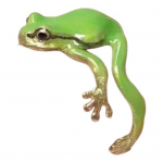 Konnas&otilde;rmus Armsad v&auml;rvilised reguleeritavad puust konnas&otilde;rmused K&auml;sitsi valmistatud l&otilde;busad ehted T&auml;iuslikud unikaalsed kingitused Armsad loomade s&otilde;rmused rannasuvepeoks. roheline