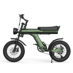 JANSNO X90 T&auml;iskasvanute Elektrijalgratas 750W 48V 14AH Peidetud Aku 16 Paks Rehv Topeltvedrustus Maastik Lumine K&otilde;ik Maastikud E-jalgratas Jansno X90 roheline