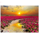 Teemantmaaling lillev&auml;ljakul T&auml;is&uuml;mmargune teemanttikandid Lootose meriristpistega kristall 20X30CM