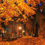 5D teemantmaali maastik Vahtrametsad &ouml;&ouml;sel Teemanttikandid Pildid Rhinestones Dekoratsioon 30x30CM