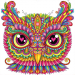 Teemantmosaiik &ouml;&ouml;kull 5D teemantmaaling Loomade teemanttikandid rhinestones pildid 30X30CM