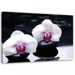 L&otilde;uenditr&uuml;kk Orchid Zen Stones Purple 60x40 valge/must