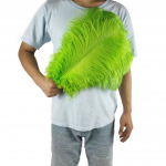 10TK 45-50cm V&auml;rvilised Suured Suled Jaanalind Laualill Laualill Pulmadekoratsioon Jaanalinnusuled