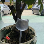 Automaatne tilkniisutuss&uuml;steem Automaatne kastmistaimed Lilled siseruumides aiandus Majapidamise plastikust kastmispudel kasvuhoone jaoks Bird