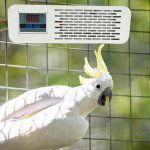 Linnupuurik&uuml;tt ,Linnu soojenduslamp lambivarjuga Soojendaja ,Ohutu, Valguseta, Papagoidele Extension model