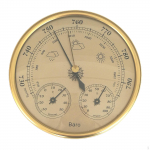 Wall Hanging Weather in 1 Hygrometer