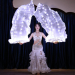 s Belly Dance Silk Fan Dancing Light