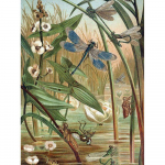 Teemantidega maalimine Loomad Dragonfly Pildihelmed Teemanttikandid Loomad Maalivad Rhinestones 20X30CM