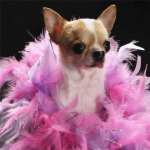 T&auml;ielik 5D-teemantmaaling multifilm Loomakoer Mosaiik Tikand Ristpistes Kodukaunistus K&auml;sitsi valmistatud 25x25cm