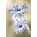 Maastik DIY 5D Teemantmaal Loom T&auml;is&uuml;mmargune Vaigu Lillede maastik Teemanttikandid Ristpistes Mosaiik Kodukaunistus Full Round 20X30CM