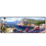 5D teemantmaal Romantiline saare panoraam t&auml;ispuur Teemanttikandid Loom Mosaiik N&auml;put&ouml;&ouml; Rhinestones Kunst A1224 Full Round 20x60CM