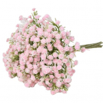 Ilus kunstlill, ei pea mitmev&auml;rvilisi dekoratiivtarvikuid kastma valge