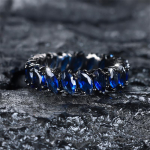 Suurep&auml;rane tumesinine tsirkoonist s&otilde;rmus naistele musta kullav&auml;rvi kihlas&otilde;rmus aastap&auml;eva kingitus 5 must/sinine