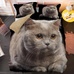 Armas Lemmikloomakassi Voodipesukomplekt Loomaprindiga Katted &Uuml;he Kahekohaline King Queen Suurus Tekikott Kassipoja Muster Pol&uuml;ester Tekikate 140x210cm 2pcs