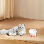 Kassi toitmiskauss portselanist jootmisn&otilde;u koeratoidun&otilde;u ja vesi Graded White Pink