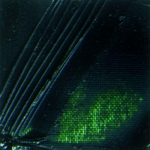 Peinture &agrave; l'huile - PEBEO - S&eacute;lection - Tube XL 200 ML - Vert de vessie - S&eacute;chage rapide
