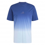 Adidas All Szn Dip-Dye T-s&auml;rk Meeste Topid Sinine JJ3697 XL