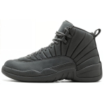 Jordan 12 Retro Psny 130690-003 40