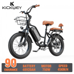 KICKWEY LD20 E-jalgratas 750W mootor 48V20AH aku Topeltketaspidurid Amordiga esihark Elektriline jalgratas 20-tollised rehvid T&ouml;&ouml;le s&otilde;itmiseks Elektriline jalgratas LD20-750W-48V-20Ah