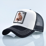 Snapback tikandid pesapallim&uuml;ts Naiste mood hingav v&otilde;rgust Truckeri m&uuml;tsid meestele Unisex hiphop 56-60cm valge