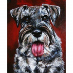 Teemantv&auml;rvimine Tikand Prantsuse buldogi koerte ristpistes teemantmosaiik Hobid ja k&auml;sit&ouml;&ouml; 20X30CM